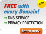 Free Services with Domain